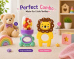 Sprout Kidz Lion Teether & Frog Fruit Feeder Purple Teal Combo BPA-Free Silicone